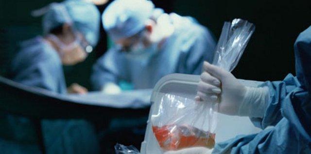حکم عجیب مُفتی مصری درباره اهدای عضو حکم عجیب مُفتی مصری درباره اهدای عضو