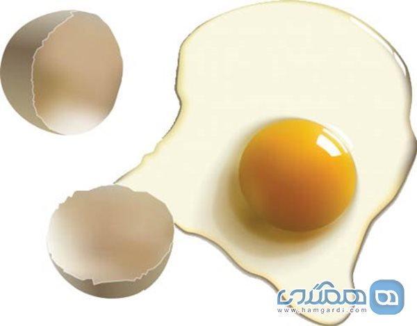 بهترین روش طبخ و خوردن تخم مرغ