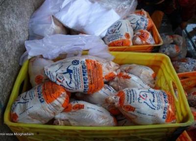 توزیع مرغ منجمد موجب آرامش بازار مرغ گرم شده است