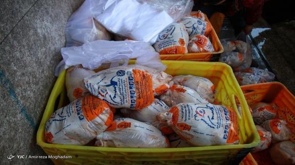 توزیع مرغ منجمد موجب آرامش بازار مرغ گرم شده است